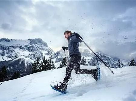 Alexander Alpine Wellness Dolomites 3*